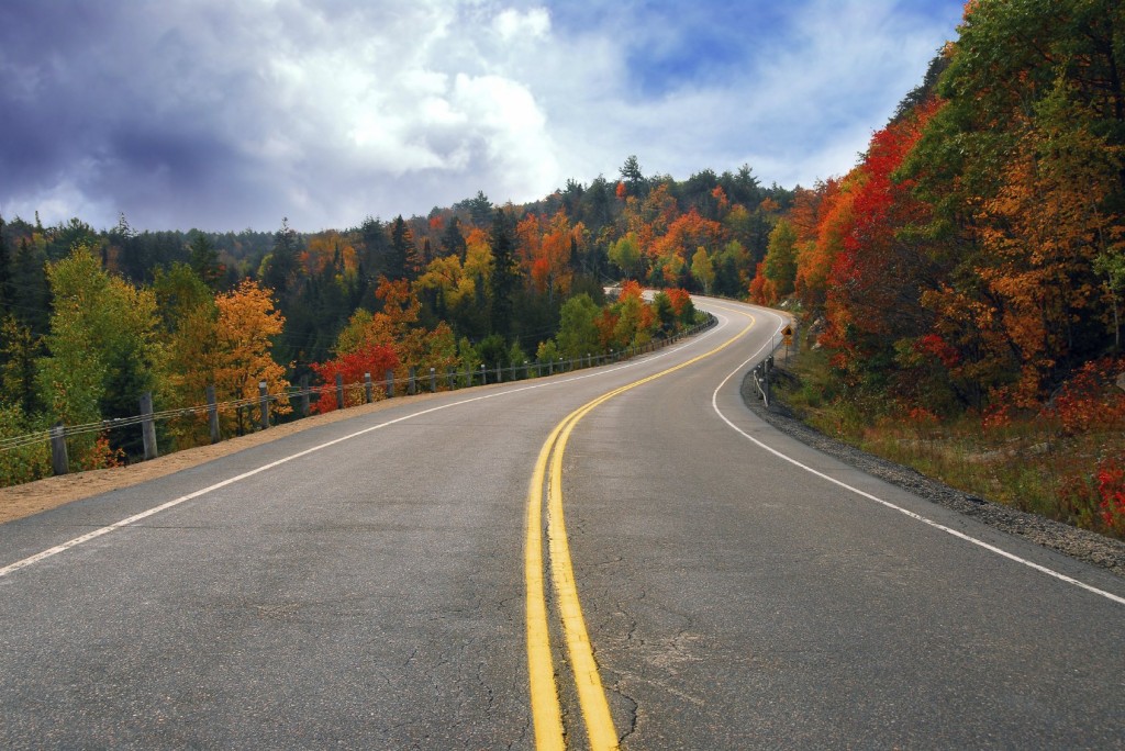 country highway fall
